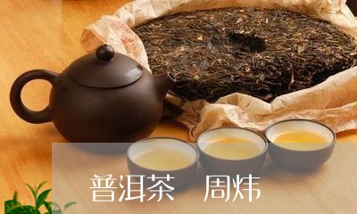 普洱茶 周炜/2023042811936